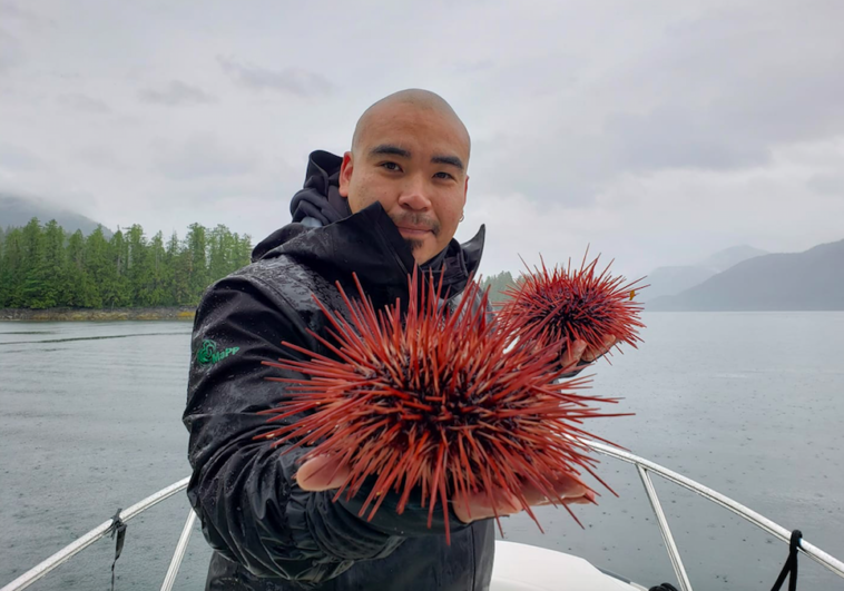 Douglas Neasloss holding two sea urchins.