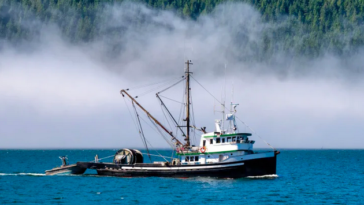 A small fishing boat on the coast of British Columbia.