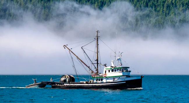 A small fishing boat on the coast of British Columbia.