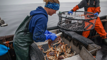 Prince Rupert crab fisher Chelsey Ellis working on a boat.