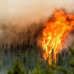 Flames from the Donnie Creek wildfire burning along a ridge-top near Fort St John, B.C.