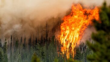 Flames from the Donnie Creek wildfire burning along a ridge-top near Fort St John, B.C.