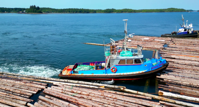 Log booms are used to gather and hold logs after they have been felled, either in the forest or through mechanized operations. This prevents the logs from drifting away and helps in efficient transportation to sawmills or processing facilities.