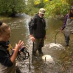 Katie Gair (TRRS) describes the deployment of portable aeration units in refuge pools of the Tsolum River to increase the survival of pink salmon adults returning to spawn. Allan Chamberlain (TRRS) and Jane Pendray (PSF) stand in the Tsolum River holding tubes leading to aeration units that are actively bubbling oxygen into the water.