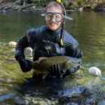 Zach Kapelan briefly holds a chinook salmon before releasing it back into HIŁSYAQƛIS/Tranquil Creek to spawn.