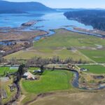 The Cowichan Estuary restoration project site.