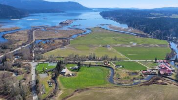 The Cowichan Estuary restoration project site.