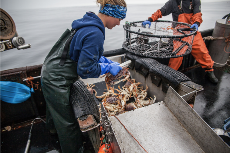 British Columbians understand that thriving coastal communities depend on small-scale fisheries for sustaining local livelihoods, ensuring food security, maintaining ties to the sea, preserving cultural identity, and bolstering coastal economies. They also understand that industrial-scale commercial fisheries stand in the way of a prosperous coast. Photo credit: Chelsey Ellis