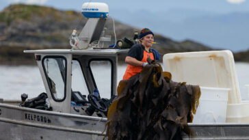 Kelp harvester on the coast of British Columbia