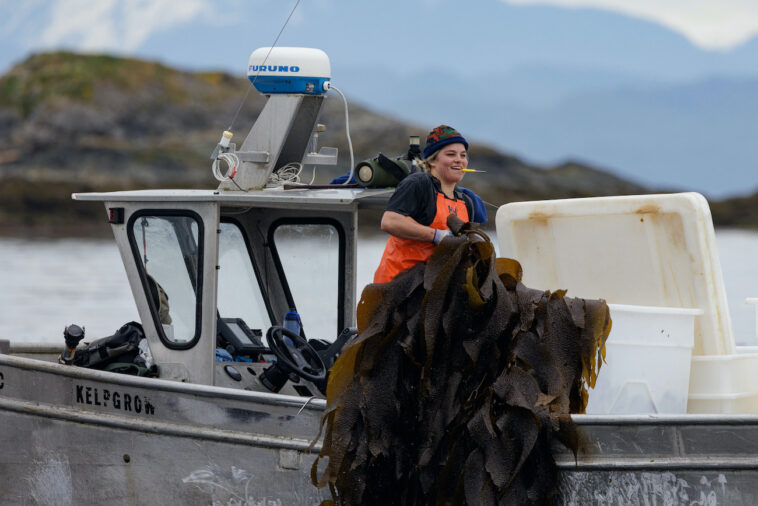 Kelp harvester on the coast of British Columbia