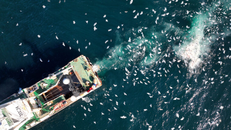 A factory trawler