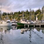 A group of boats parked by the coast