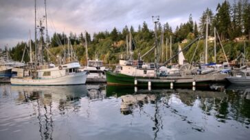 A group of boats parked by the coast