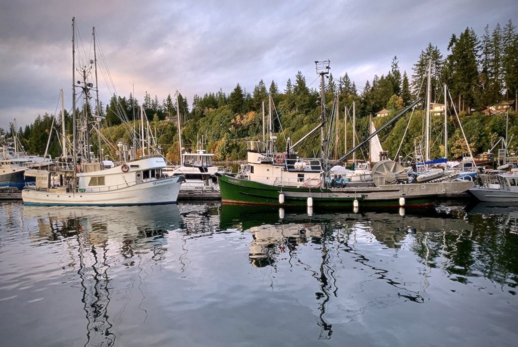 A group of boats parked by the coast