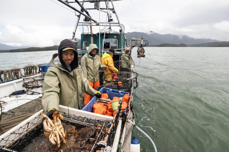 Crab harvesters