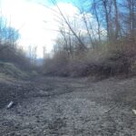 Dry waterway near Backwash Slough, Chilliwack.