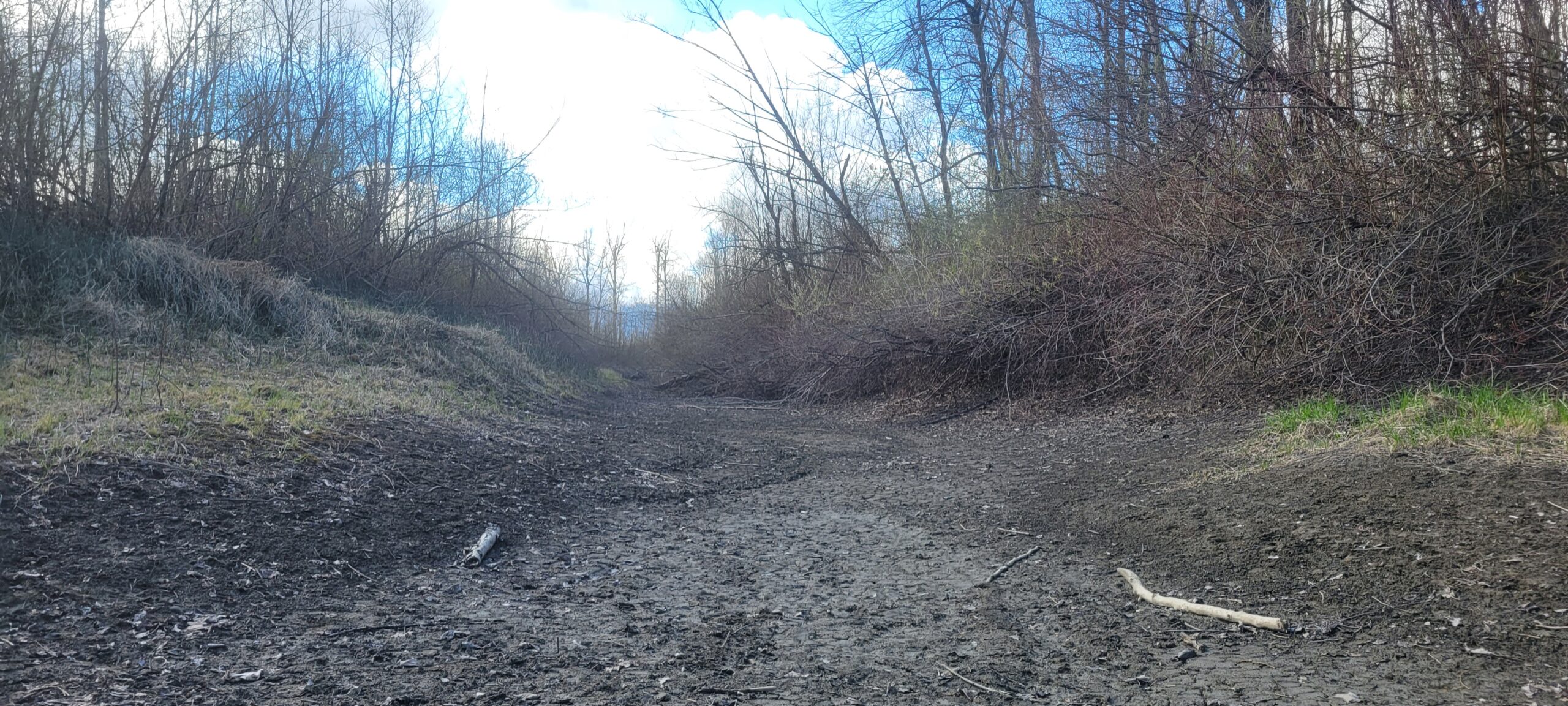 Dry waterway near Backwash Slough, Chilliwack.