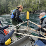 Volunteers lowering a hydrophone into the water from a boat