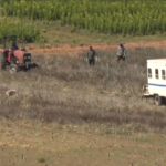 Workers on a farm on Vancouver Island, photographed on April 21, 2020.