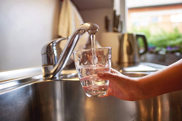 cup of water under a stainless steel kitchen sink